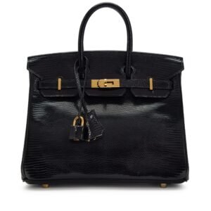 Black Niloticus Lizard Birkin 25 Gold Hardware, 2008