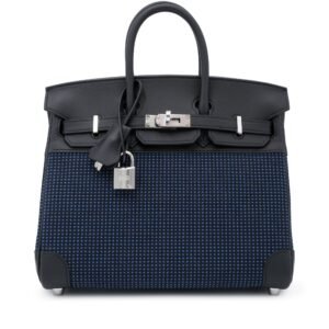 Black Swift and Bleu Egee Bivouac Toile Birkin 25 Palladium Hardware, 2024
