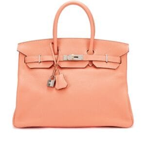 Crevette Clemence Birkin 35 Palladium Hardware, 2013