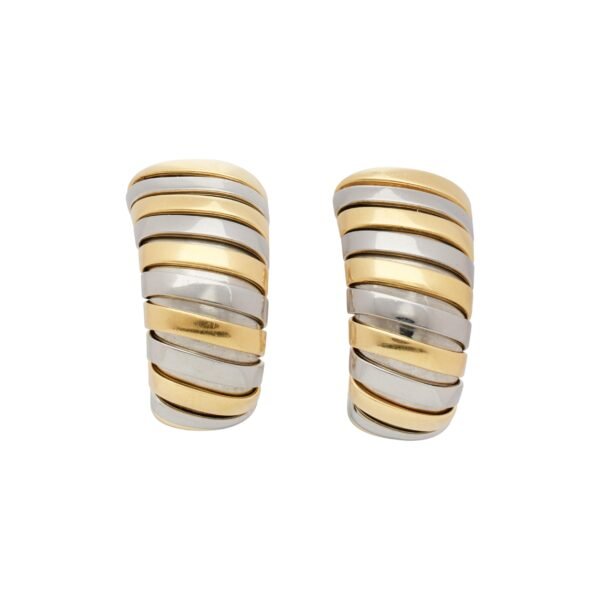 Gold and Stainless Steel Tubogas Earclips