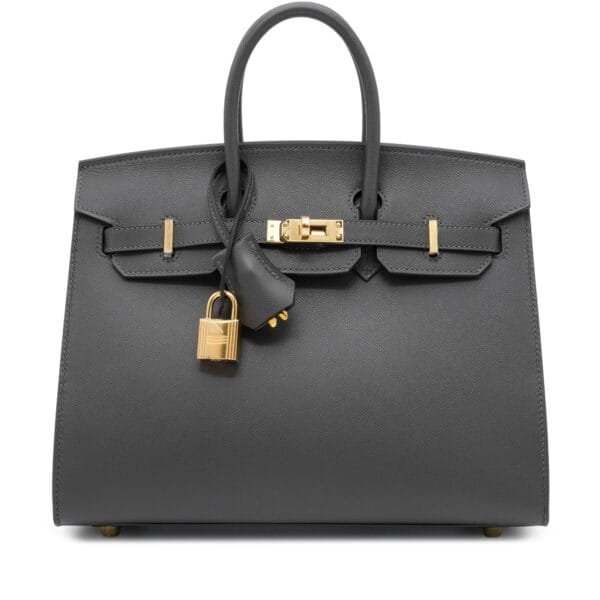 Graphite Madame Birkin 25 Sellier Gold Hardware, 2024