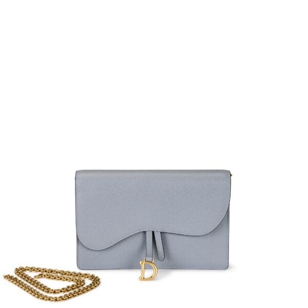 Grey Goatskin Saddle Wallet on Chain Gold Hardware, 2022