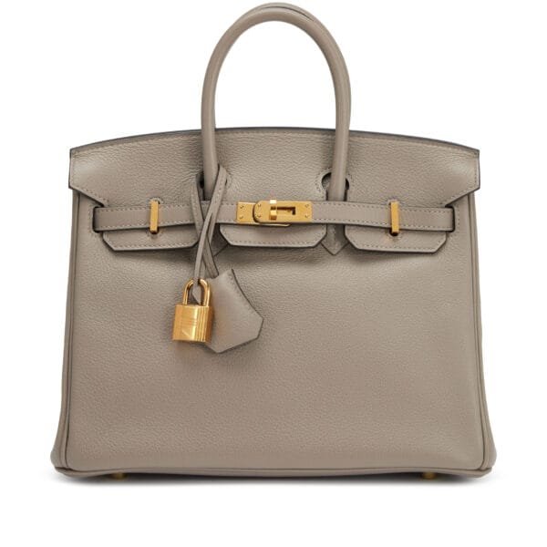 Gris Asphalt Novillo Birkin 25 Gold Hardware, 2020
