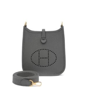 Gris Meyer Clemence Mini Evelyne II TPM 16 Gold Hardware, 2024