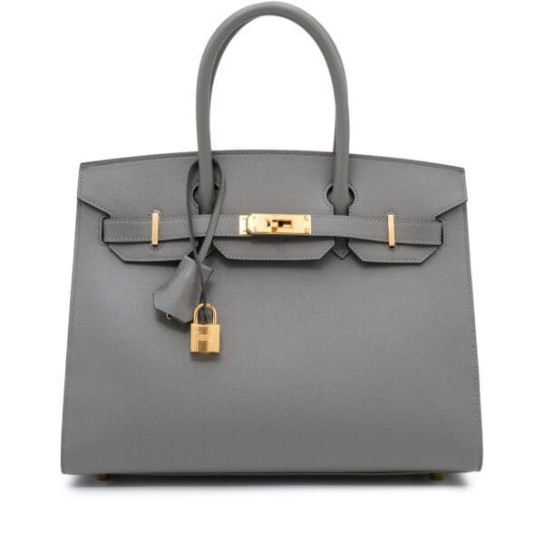 Gris Meyer Madame Birkin 30 Sellier Gold Hardware, 2024