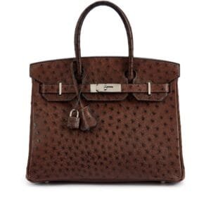 Marron Fonce Ostrich Birkin 30 Palladium Hardware, 2010