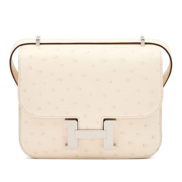 Nata Ostrich Mini Constance 18 Palladium Hardware, 2023