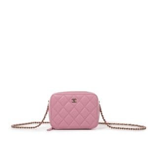 Pink Lambskin Camera Case Pale Gold Hardware, 2022