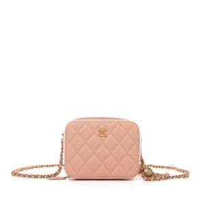 Pink Quilted Lambskin Pearl Crush Camera Case Brushed Gold Hardware, 2021