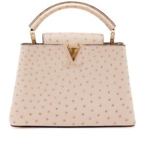 Rose Poudre Ostrich Capucines BB Gold Hardware, 2020