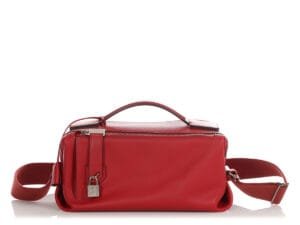 Rouge Casaque Evercolor Emile Bag Palladium Hardware, 2020
