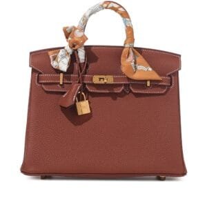 Sienna Togo Birkin 25 Gold Hardware, 2022 with Twilly