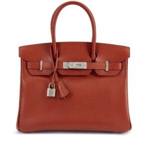 Sienne Epsom Birkin 30 Palladium Hardware, 2009