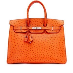 Tangerine Ostrich Birkin 35 Palladium Hardware, 2004