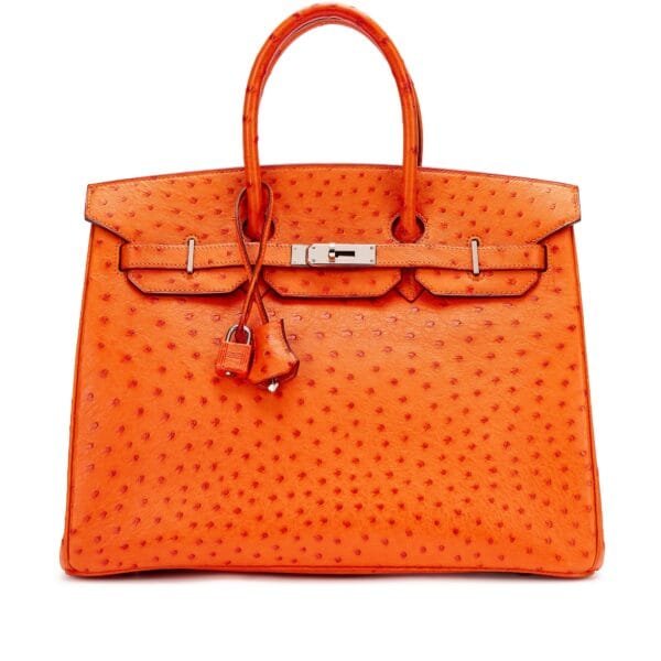 Tangerine Ostrich Birkin 35 Palladium Hardware, 2004