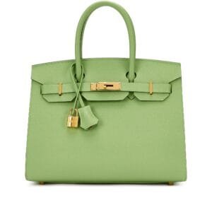 Vert Criquet Epsom Birkin 30 Sellier Gold Hardware, 2020