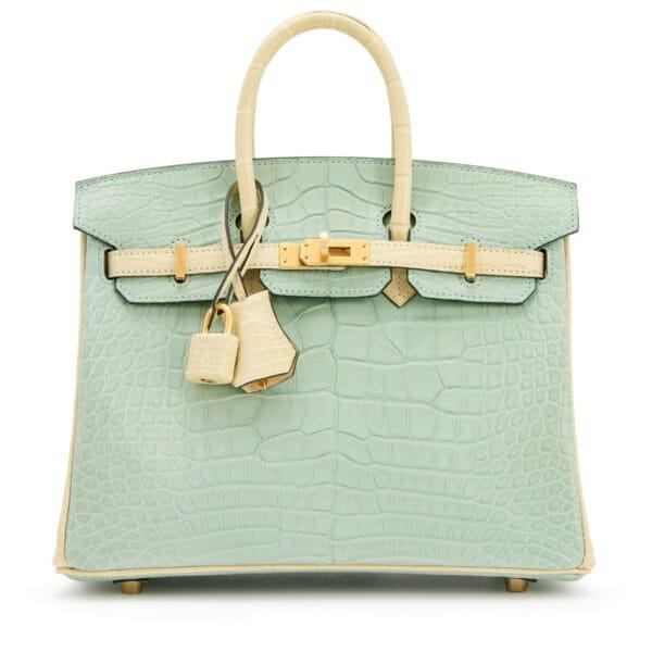 Vert-D'eau and Vanille Matte Alligator HSS Birkin 25 Brushed Gold Hardware, 2022