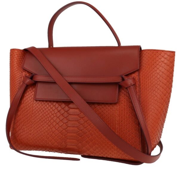 Celine Belt medium model handbag in brown Rouille python and brown leather