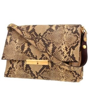 Celine Blade handbag in beige python