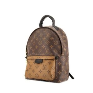 Louis Vuitton Palm Springs small model backpack in brown monogram canvas and black leather