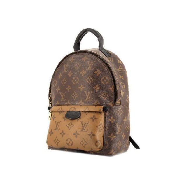 Louis Vuitton Palm Springs small model backpack in brown monogram canvas and black leather