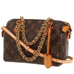 Louis Vuitton Speedy 20 cm handbag in brown monogram canvas and natural leather