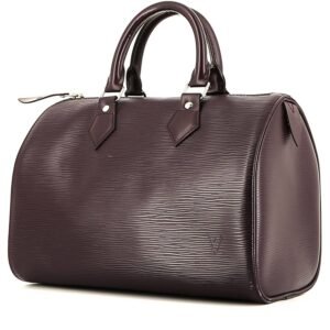 Louis Vuitton Speedy 25 handbag in purple epi leather