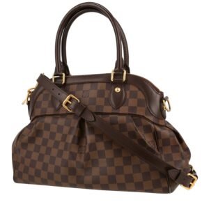 Louis Vuitton Trevi handbag in ebene damier canvas and brown leather