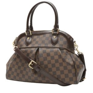 Louis Vuitton Trevi handbag in ebene damier canvas and brown leather
